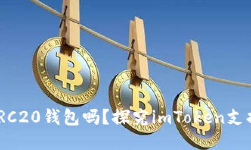 imToken是TRC20钱包吗？探究imToken支持的代币类型