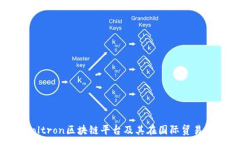 探讨Voltron区块链平台及其在国际贸易中的应用