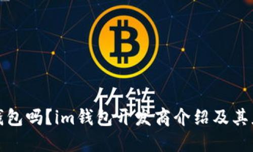 是以太钱包吗？im钱包开发商介绍及其应用场景