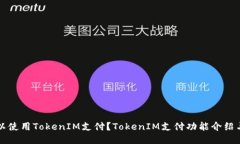 区块狗可以使用TokenIM支付？TokenIM支付功能介绍与