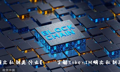 TokenIM明文私钥是什么？——了解TokenIM明文私钥及其安全性