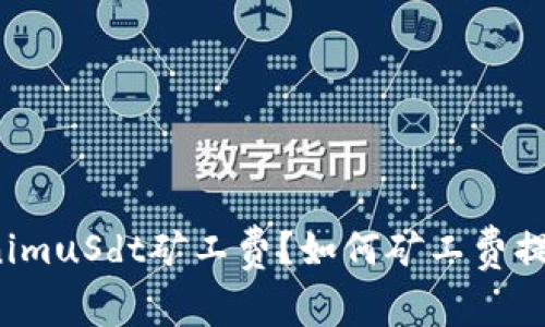 什么是TokenimuSdt矿工费？如何矿工费提高交易速度？