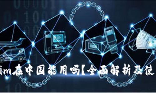 Tokenim在中国能用吗？全面解析及使用指南