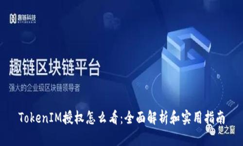 TokenIM授权怎么看：全面解析和实用指南