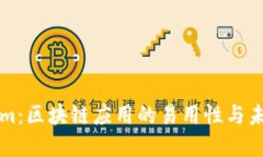 Tokenim：区块链应用的易用性与未来展望