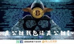 imToken是公链钱包还是公链？一文解析