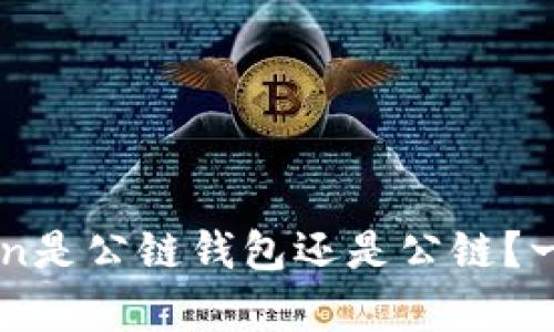 imToken是公链钱包还是公链？一文解析