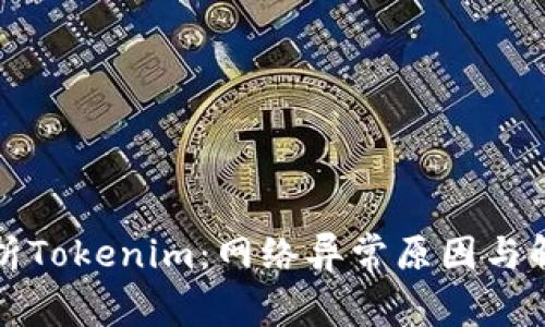 全面解析Tokenim：网络异常原因与解决方案