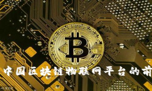 全面解析中国区块链物联网平台的前景与应用