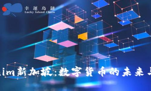 Tokenim新加坡：数字货币的未来与机遇