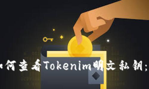 ### 如何查看Tokenim明文私钥：完整指南