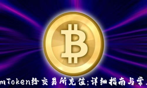 
如何使用ImToken给交易所充值：详细指南与常见问题解答