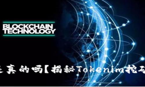 Tokenim挖矿是真的吗？揭秘Tokenim挖矿的真相与风险