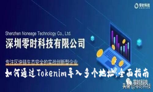 如何通过Tokenim导入多个地址：全面指南