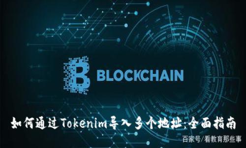 如何通过Tokenim导入多个地址：全面指南