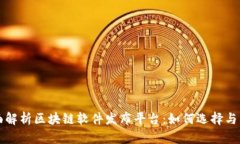 全面解析区块链软件发布