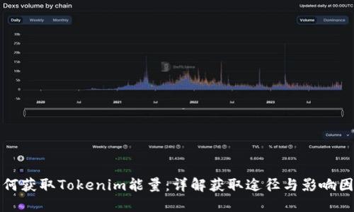 如何获取Tokenim能量：详解获取途径与影响因素