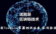 全面解析Tokenim苹果测试版