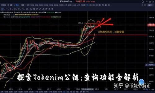 探索Tokenim公链：查询功能全解析