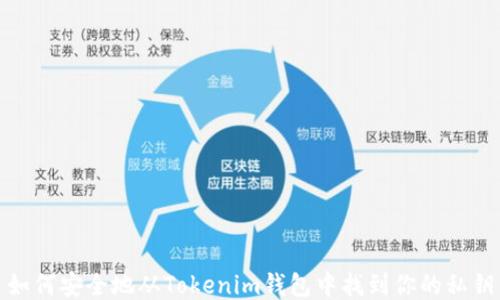 
如何安全地从Tokenim钱包中找到你的私钥