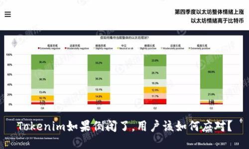 Tokenim如果倒闭了，用户该如何应对？