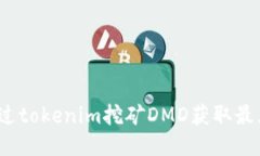 如何通过tokenim挖矿DMD获取