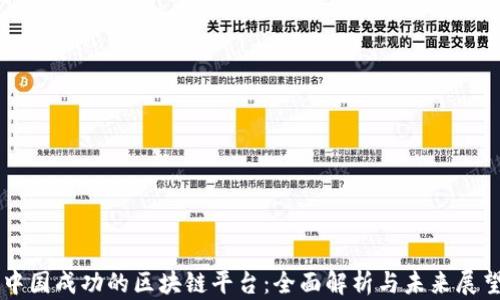 
中国成功的区块链平台：全面解析与未来展望