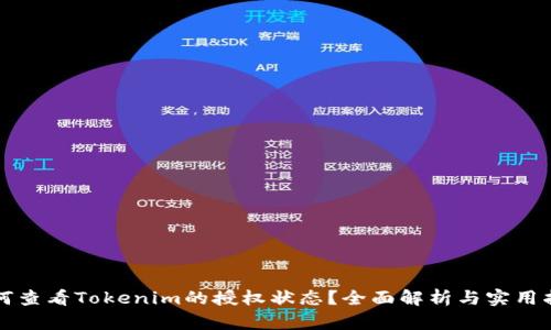 如何查看Tokenim的授权状态？全面解析与实用指南