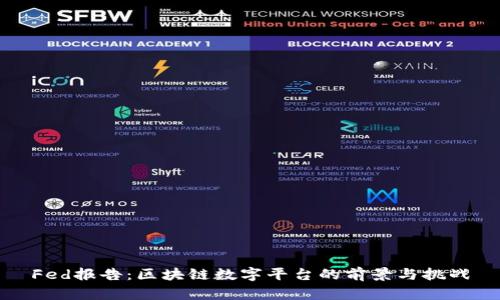 Fed报告：区块链数字平台的前景与挑战