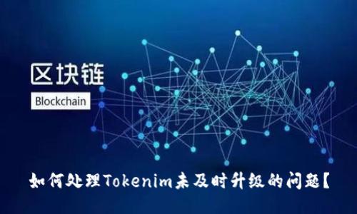 如何处理Tokenim未及时升级的问题？