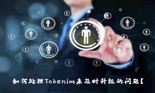 如何处理Tokenim未及时升级的问题？