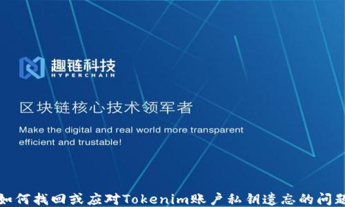 
如何找回或应对Tokenim账户私钥遗忘的问题