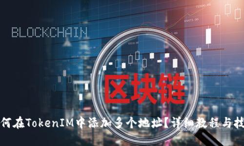 如何在TokenIM中添加多个地址？详细教程与技巧