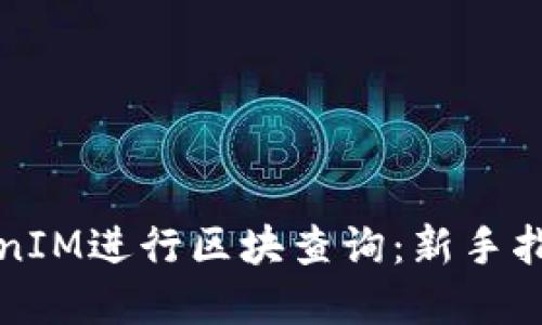 如何使用TokenIM进行区块查询：新手指南与实用技巧