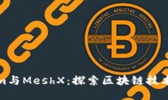 Tokenim与MeshX：探索区块链