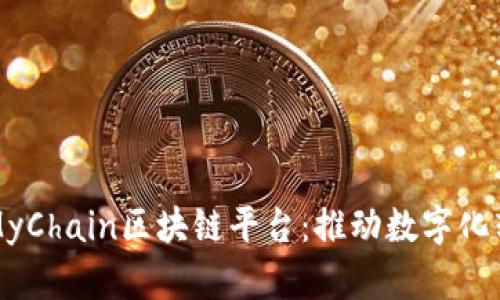 全面解析MyChain区块链平台：推动数字化转型的未来