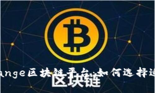 全面解析Exchange区块链平台：如何选择适合你的交易所