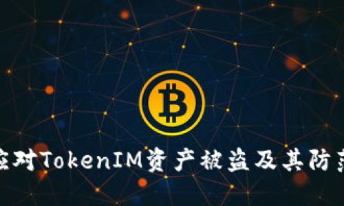 如何应对TokenIM资产被盗及其防范措施