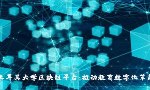 土耳其大学区块链平台：推动教育数字化革新