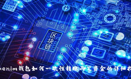 Tokenim钱包如何一次性转账两笔资金的详细指南