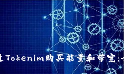 如何通过Tokenim购买能量和带宽：全面指南