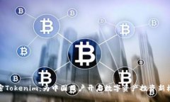 解密Tokenim：为中国用户开
