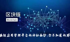 揭开区块链应用管理平台