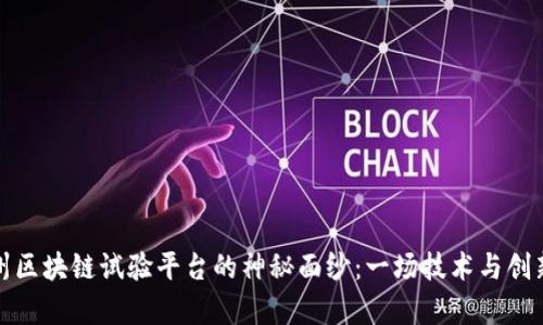 揭开贵州区块链试验平台的神秘面纱：一场技术与创新的博弈
