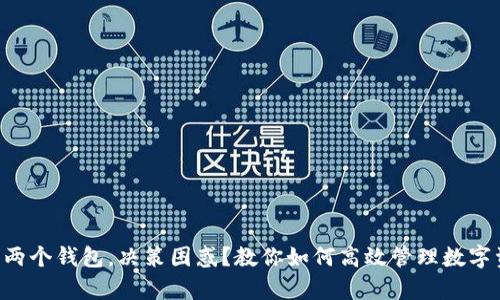“拥有两个钱包，决策困惑？教你如何高效管理数字资产！”