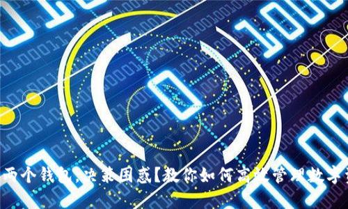 “拥有两个钱包，决策困惑？教你如何高效管理数字资产！”