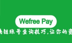 掌握区块链账号查询技巧，让你的资产无忧！