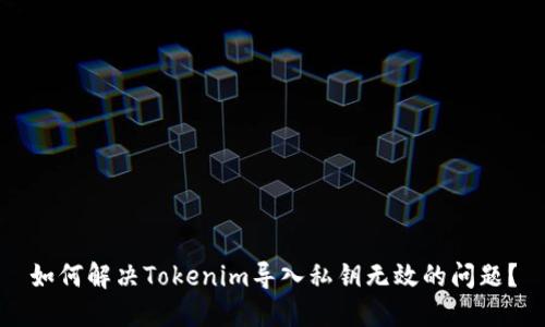 如何解决Tokenim导入私钥无效的问题？