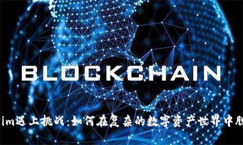 当Tokenim遇上挑战：如何在复杂的数字资产世界中脱颖而出？