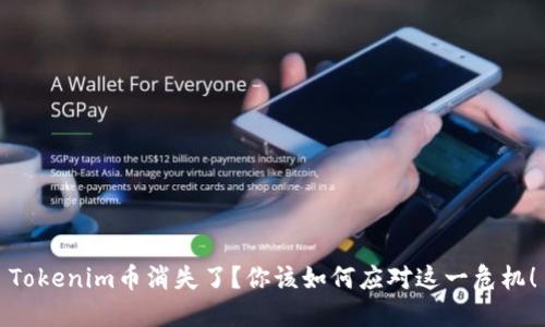 Tokenim币消失了？你该如何应对这一危机！